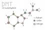 DMT